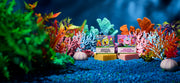 SpongeBob 4-Pack H9
