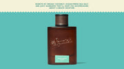 Castaway Cove Cologne B1