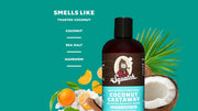 Coconut Castaway Conditioner H9
