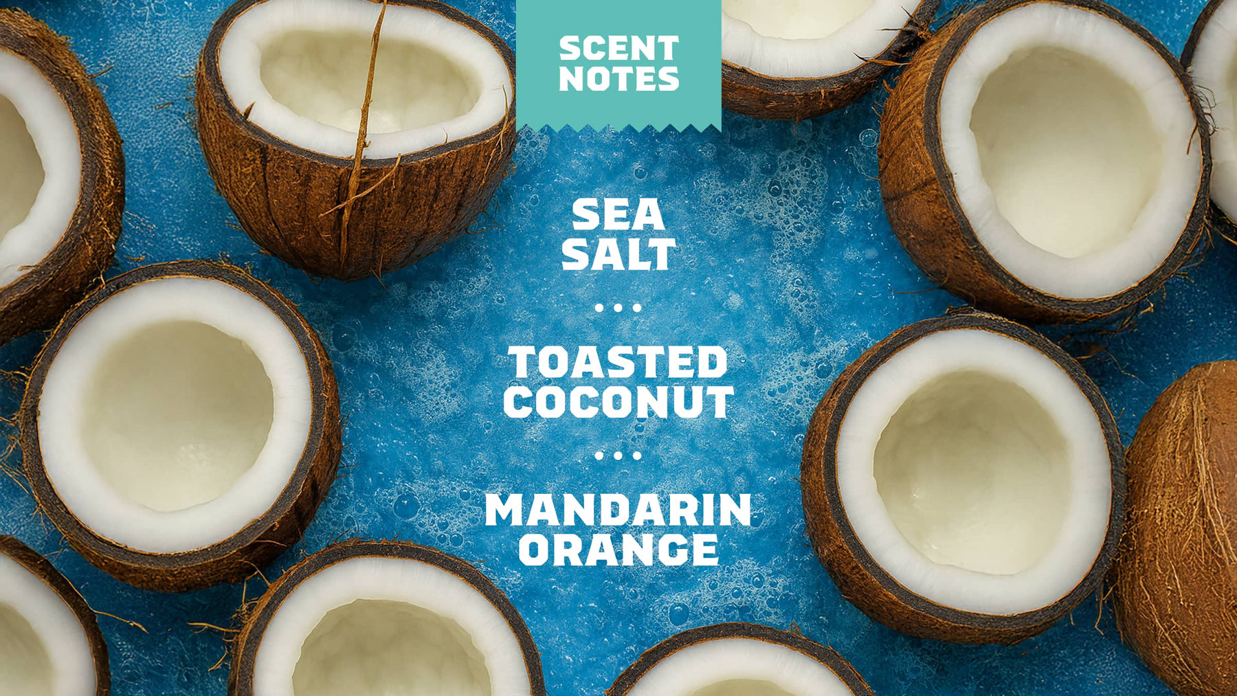 Coconut Castaway Hand Soap D1