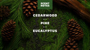 Pine Tar Lotion P4