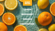 Summer Citrus Hand Soap L1