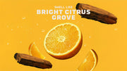 Summer Citrus Hand Soap L1