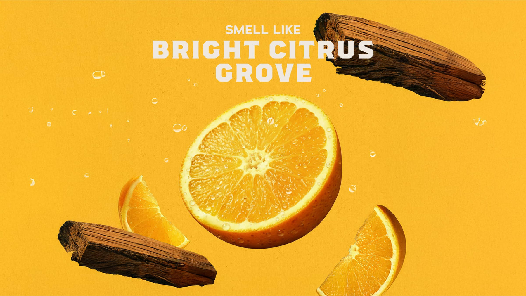Summer Citrus Hand Soap L1