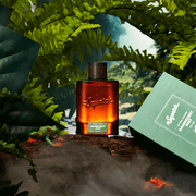Rainforest Mist Cologne with Free Deo! D5